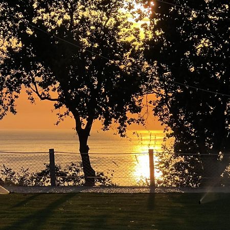 Relais Il Giardino Fra Gli Ulivi Villa Torino di Sangro Eksteriør billede