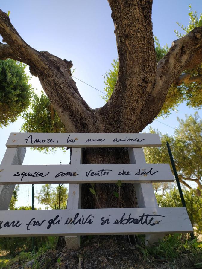 Relais Il Giardino Fra Gli Ulivi Villa Torino di Sangro Eksteriør billede