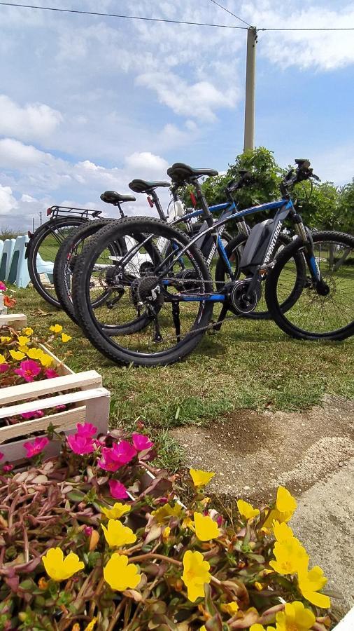 Relais Il Giardino Fra Gli Ulivi Villa Torino di Sangro Eksteriør billede