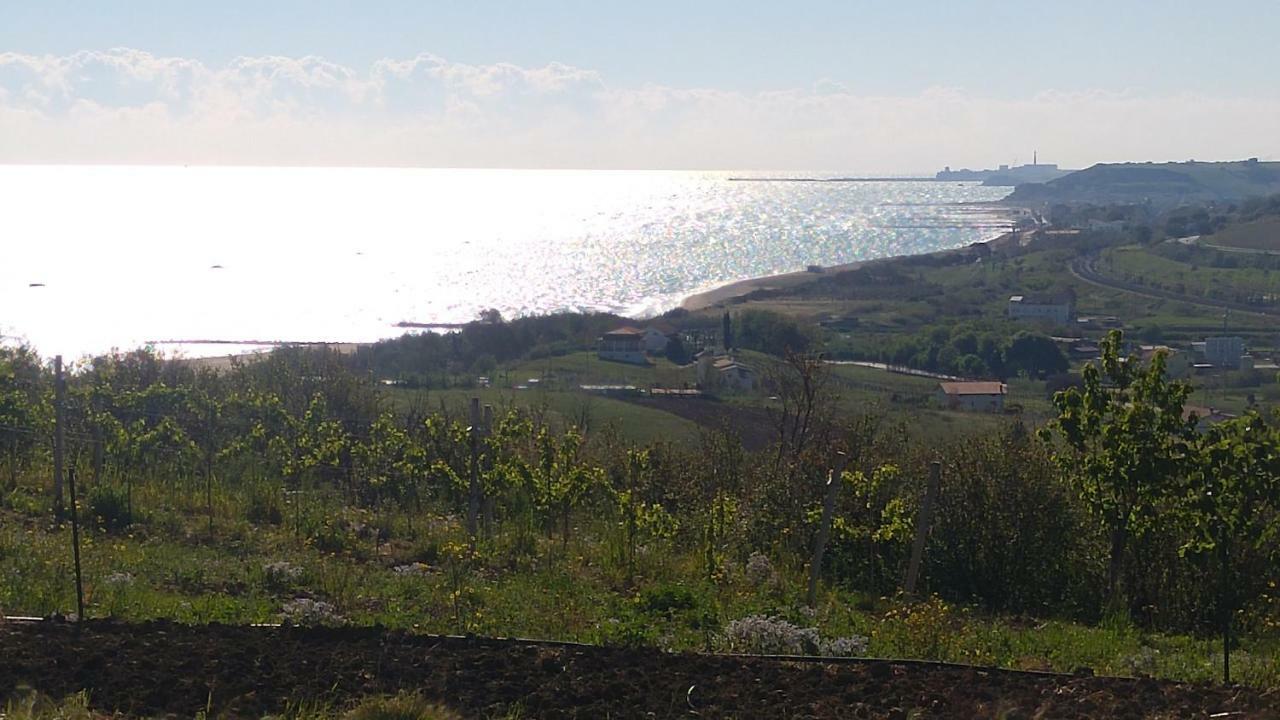 Relais Il Giardino Fra Gli Ulivi Villa Torino di Sangro Eksteriør billede
