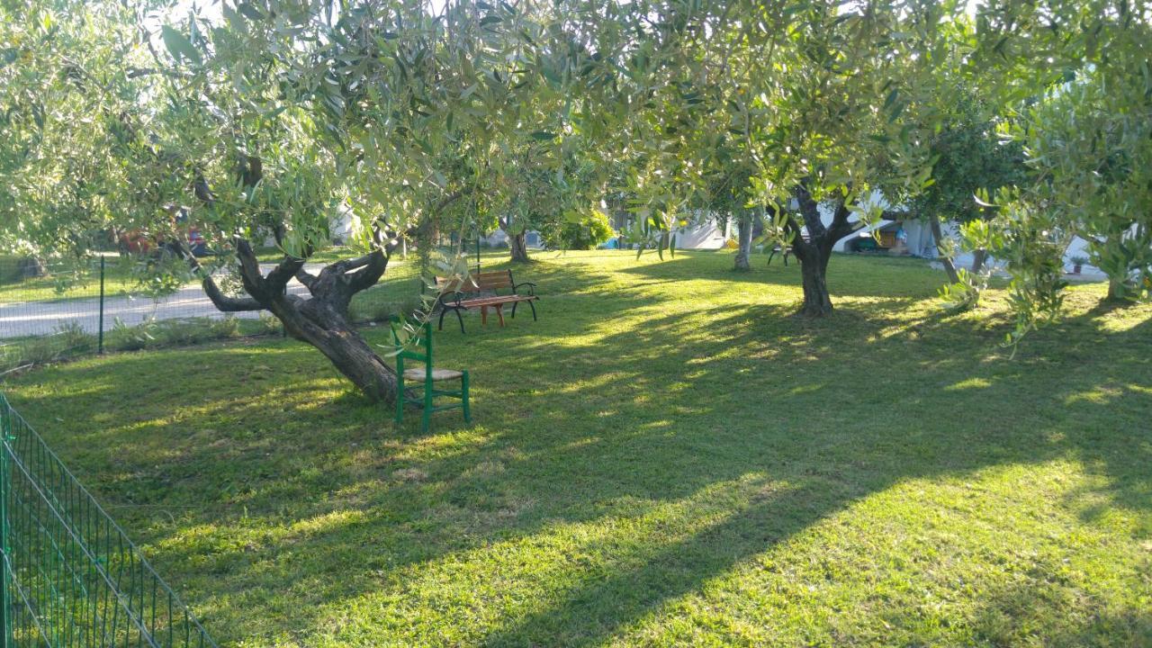 Relais Il Giardino Fra Gli Ulivi Villa Torino di Sangro Eksteriør billede