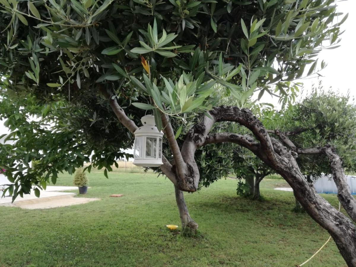 Relais Il Giardino Fra Gli Ulivi Villa Torino di Sangro Eksteriør billede